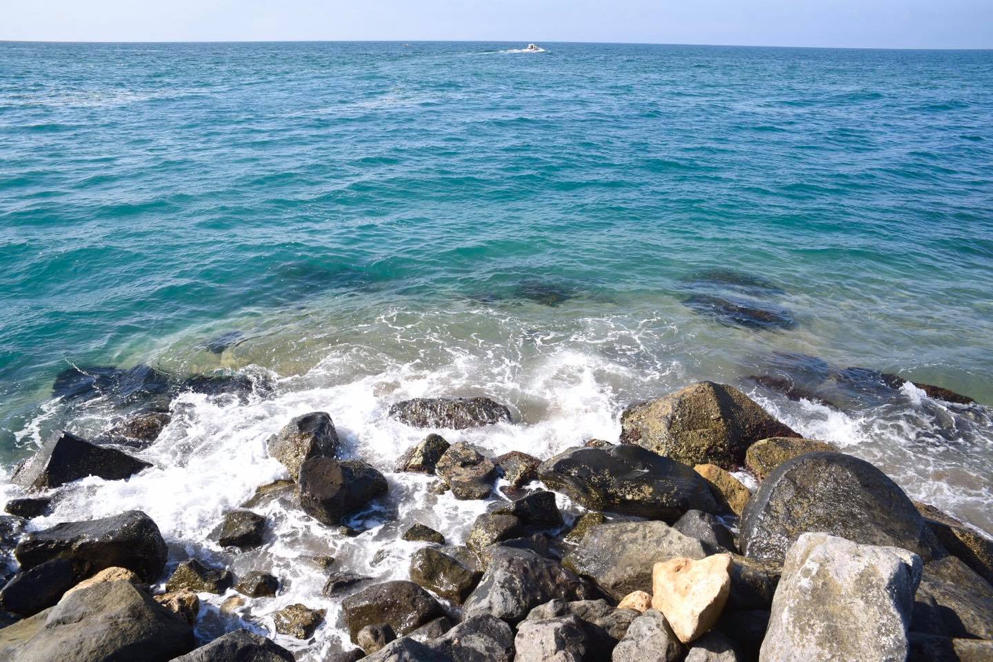 Il mare di Ostia  in salute